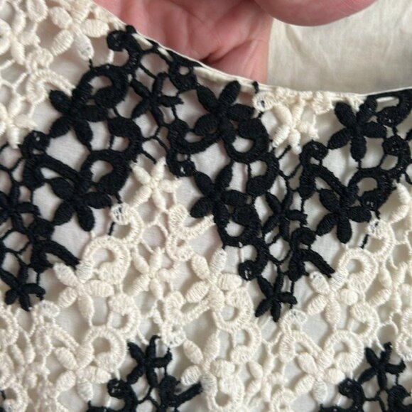 Talbots Cream & Black Lace Blouse Size 14P - Picture 6 of 6